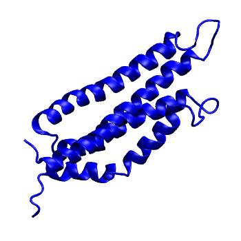 Structure preview of mdCATH 3swoA03