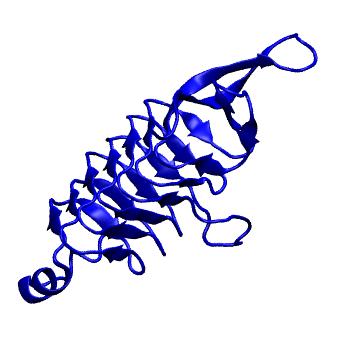 Structure preview of mdCATH 3tk8C02