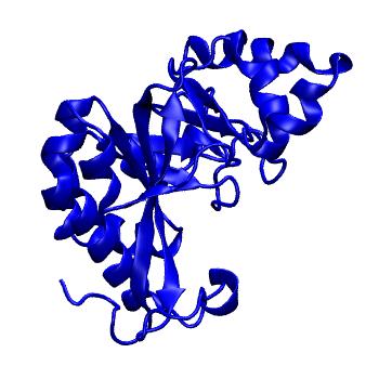 Structure preview of mdCATH 3tlqA00