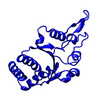 Structure preview of mdCATH 3vkhB07