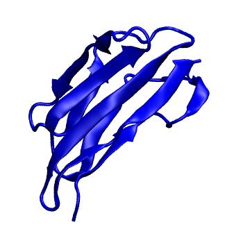 Structure preview of mdCATH 3vynB01