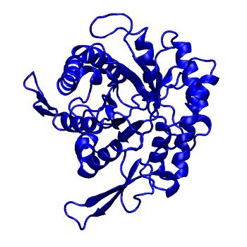 Structure preview of mdCATH 3w81A02