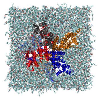 Structure preview of HCN deprotonated
