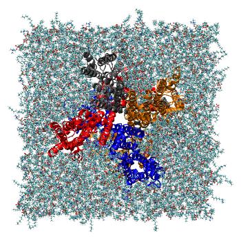 Structure preview of HCN protonated