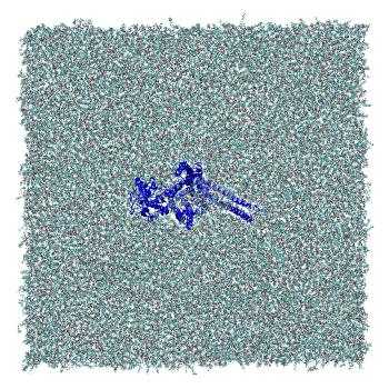 Structure preview of Structural redefinition of CTL1 as a membrane-remodelling phospholipid-binding protein; Membrane-embedded CTL1 monomer
