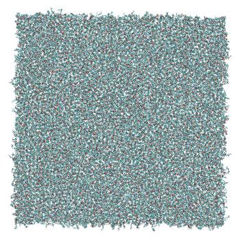 Structure preview of Structural redefinition of CTL1 as a membrane-remodelling phospholipid-binding protein; Control lipid bilayer with no protein embedded