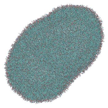 Structure preview of Umbrella sampling window 1.9 of siRNA translocation through the LNP-endosome stalk