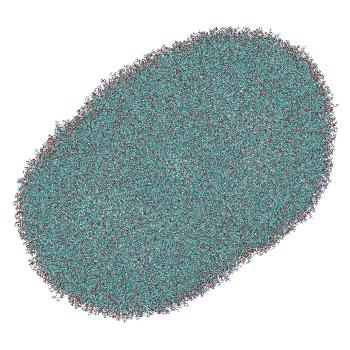 Structure preview of Umbrella sampling window 10.9 of siRNA translocation through the LNP-endosome stalk
