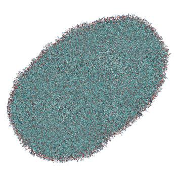 Structure preview of LNP-endosome siRNA translocation: umbrella sampling window 7.9 nm (fixed protonation)