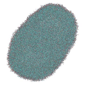 Structure preview of LNP-endosome siRNA translocation: umbrella sampling with constant-pH MD, window 0.2 nm