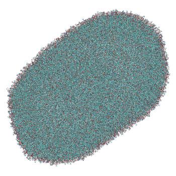 Structure preview of LNP-endosome siRNA translocation: umbrella sampling with constant-pH MD, window 0.7 nm