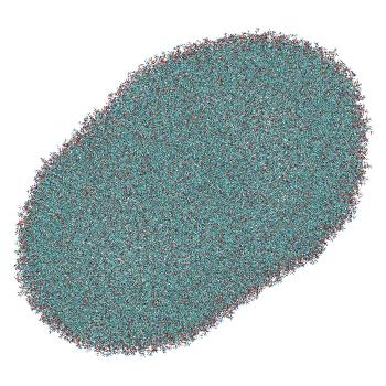 Structure preview of LNP-endosome siRNA translocation: umbrella sampling with constant-pH MD, window 1.2 nm