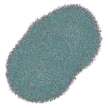 Structure preview of LNP-endosome siRNA translocation: umbrella sampling with constant-pH MD, window 10.2 nm