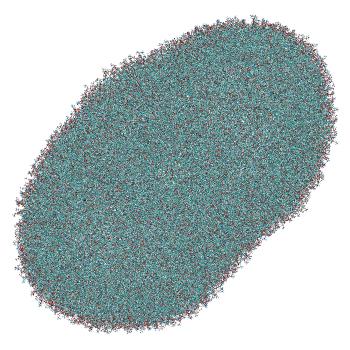 Structure preview of LNP-endosome siRNA translocation: umbrella sampling with constant-pH MD, window 11.2 nm