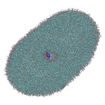 Structure preview of LNP-endosome siRNA translocation: umbrella sampling with constant-pH MD, window 2.7 nm