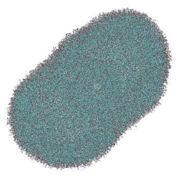 Structure preview of LNP-endosome siRNA translocation: umbrella sampling with constant-pH MD, window 3.2 nm