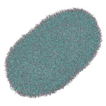 Structure preview of LNP-endosome siRNA translocation: umbrella sampling with constant-pH MD, window 3.5 nm
