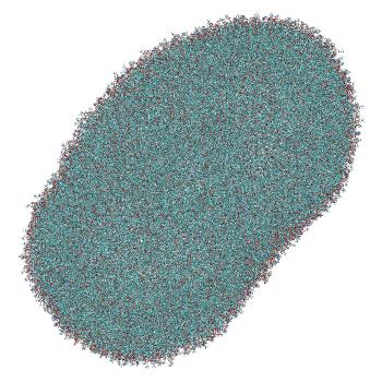 Structure preview of LNP-endosome siRNA translocation: umbrella sampling with constant-pH MD, window 4.7