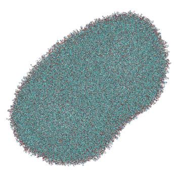 Structure preview of LNP-endosome siRNA translocation: umbrella sampling with constant-pH MD, window 6.2