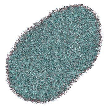 Structure preview of LNP-endosome siRNA translocation: umbrella sampling with constant-pH MD, window 6.7
