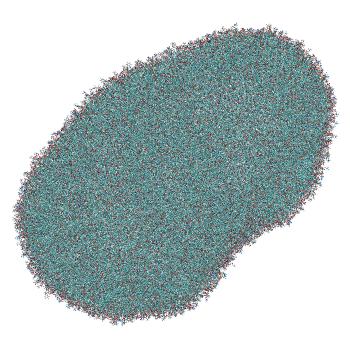 Structure preview of LNP-endosome siRNA translocation: umbrella sampling with constant-pH MD, window 6.8