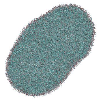 Structure preview of LNP-endosome siRNA translocation: umbrella sampling with constant-pH MD, window 7.2
