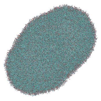 Structure preview of LNP-endosome siRNA translocation: umbrella sampling with constant-pH MD, window 7.6