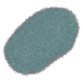 Structure preview of LNP-endosome siRNA translocation: umbrella sampling with constant-pH MD, window 7.7