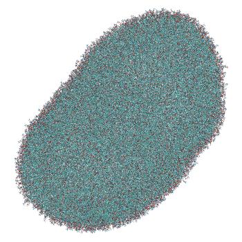 Structure preview of LNP-endosome siRNA translocation: umbrella sampling with constant-pH MD, window 8.7
