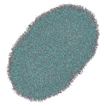 Structure preview of All-atom siRNA-LNP fused with endosomal membrane, manually reoriented siRNA