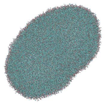 Structure preview of Atomistic LNP-endosomal membrane stalk with HER2 siRNA